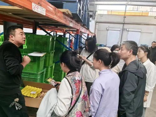 上海學(xué)生午餐蝦仁炒蛋引食品安全風(fēng)波，監(jiān)管部門介入調(diào)查