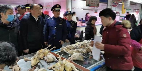 上海開展農貿活禽交易市場疫情防控專項執法檢查 保障食用農產品批發安全