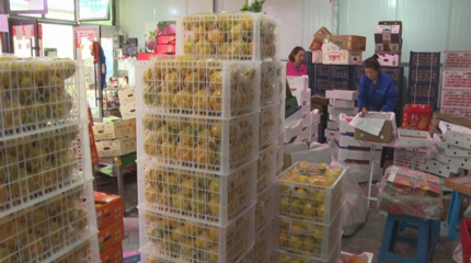 筑牢食用農產品批發“節前關口”，全力守護百姓“舌尖上的安全”