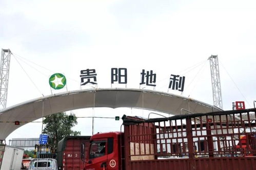 地利集團十家農(nóng)批市場榮膺2018年度全國百強，彰顯農(nóng)產(chǎn)品流通行業(yè)標桿力量