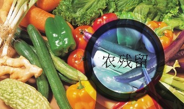 黑龍江通報4批次食用農產品農藥殘留超標，批發環節成監管重點